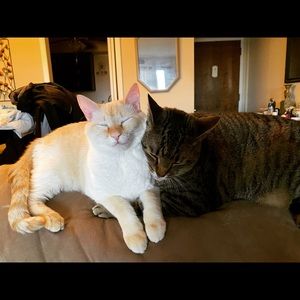 Meet your Posher, Mandy